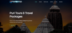 travel website design example