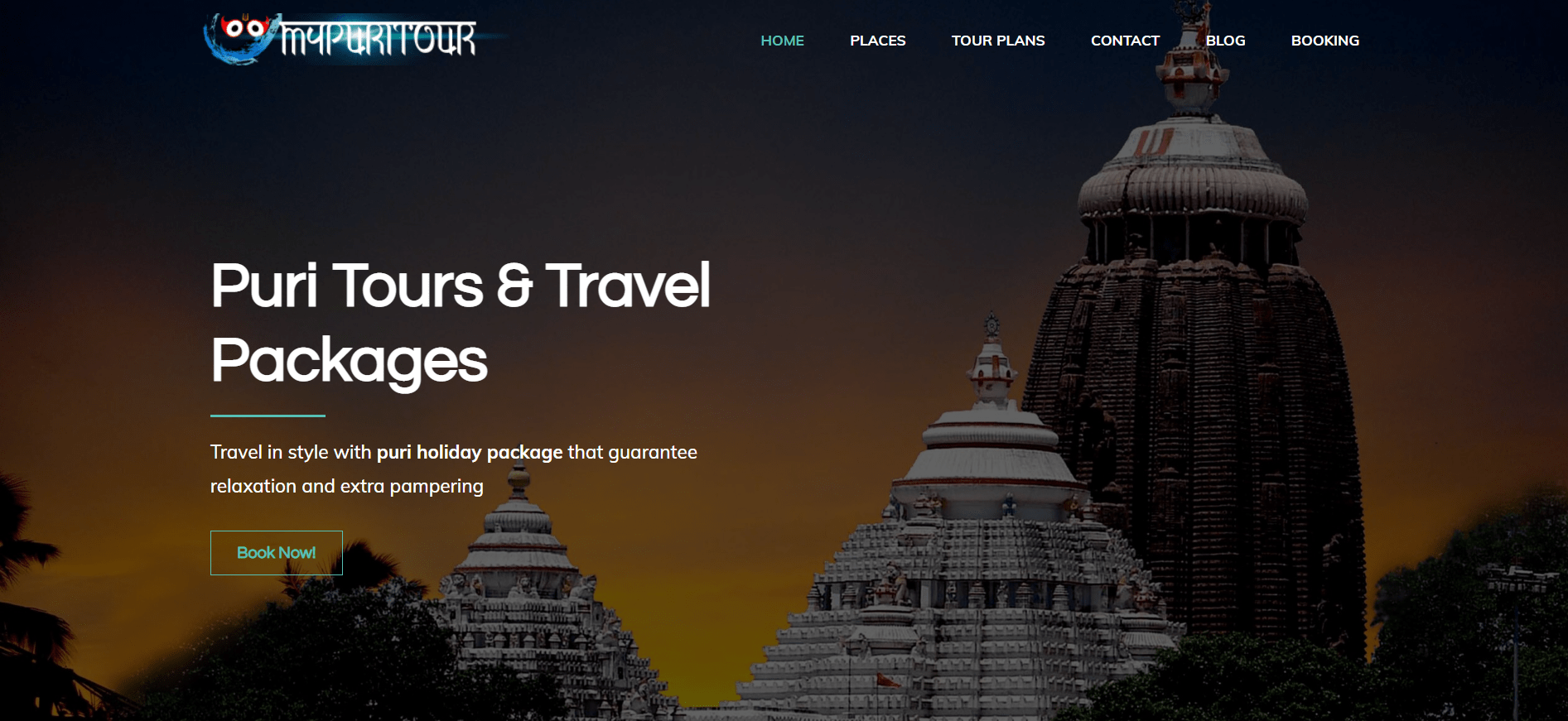 travel website design example