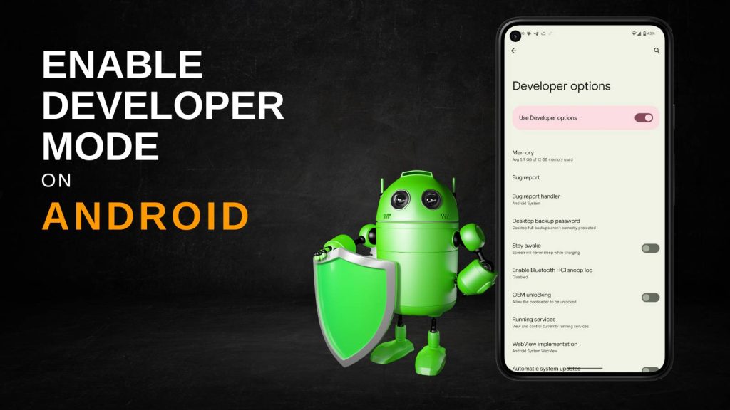 Prerequisites Before Enabling Developer Mode