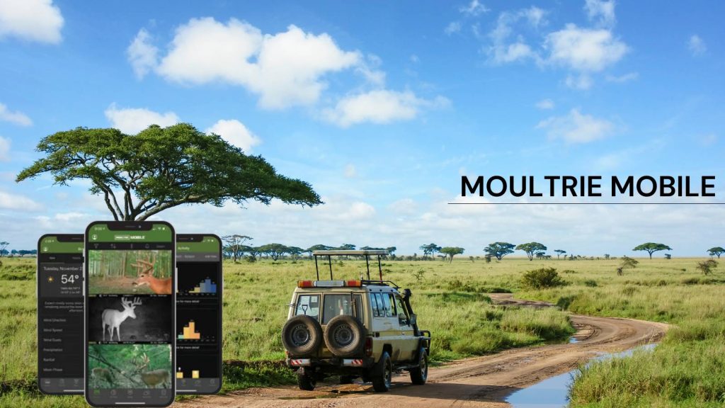 What Is Moultrie Mobile