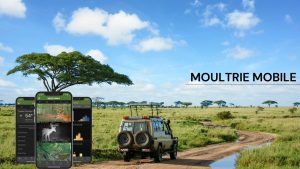 What Is Moultrie Mobile