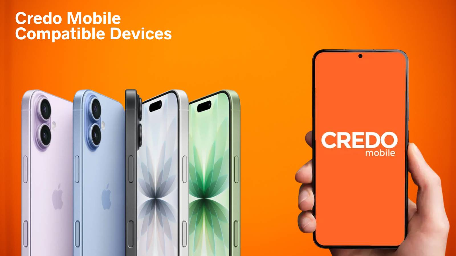 What is Credo Mobile?